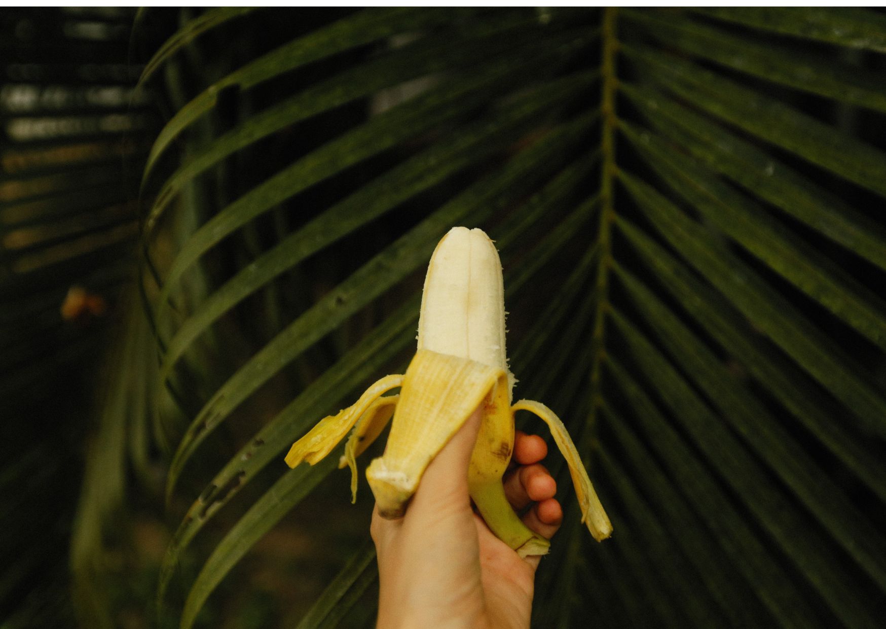 pourquoi on n’envoie pas une photo de son pénis